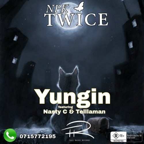 nasty c yungin ft npk twice tellaman