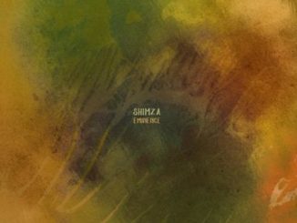 Shimza Kunye ft Kususa