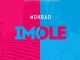 MohBad – Imole Oladips Maybe Cover