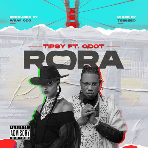 Tipsy Rora Remix mp3 image