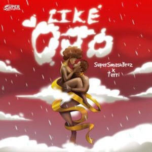SuperSmashBroz ft Terri – Like Ojo mp3 download