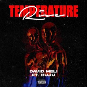 David Meli – Temperature Rise Ft. Buju