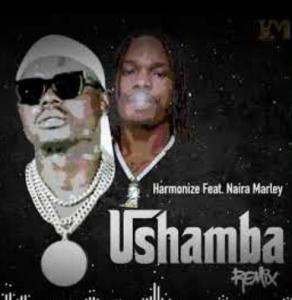 Harmonize ft. Naira Marley – Ushamba (Remix)