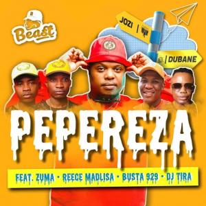 VIDEO: Beast – Pepereza ft. DJ Tira, Reece Madlisa, Zuma, Busta 929