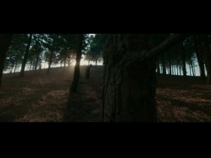 VIDEO: Fireboy DML – Champion ft D Smoke