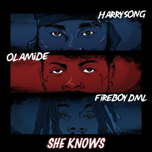 HarrySong Ft. Olamide & Fireboy Dml – She Knows