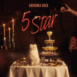 Adekunle Gold – 5 Star 250x250
