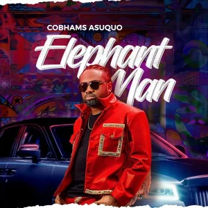 Cobhams Asuquo – Elephant Man.jpgg 