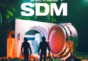 Mr Real SDM Spray D Money mp3 image