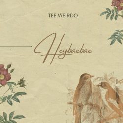Tee Weirdo – Heybaebae 250x250 1